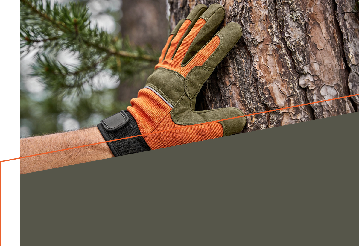 Hand in Arbeitshandschuh prüft Baumstamm