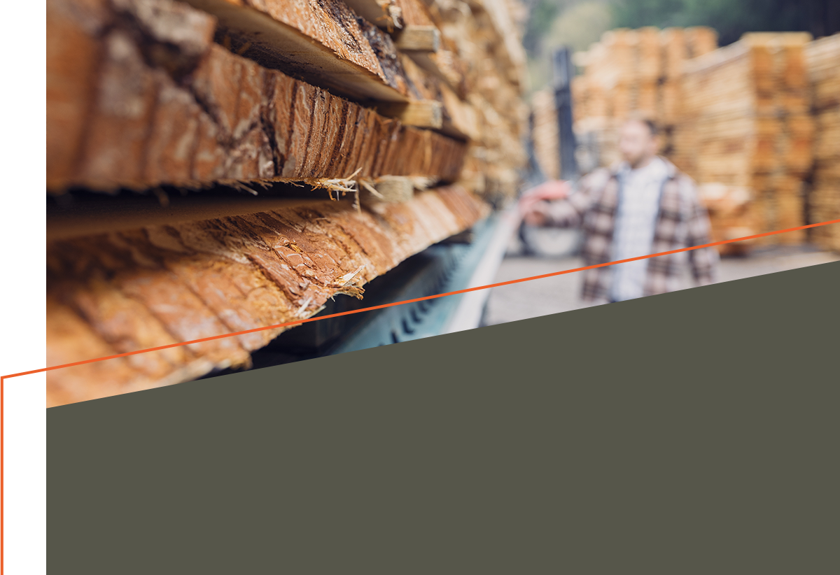 Nahaufnahme gestapelter Holzbretter aus einem Anhänger