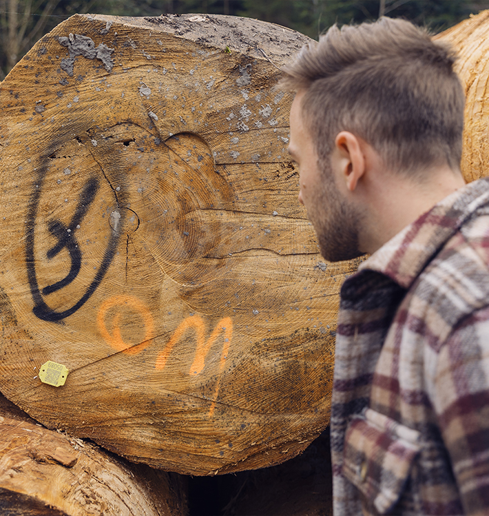 Jonas Luddeneit prüft Rundholzstamm