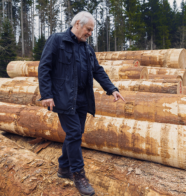 Eckhard Wolf prüft Rundholzstämme