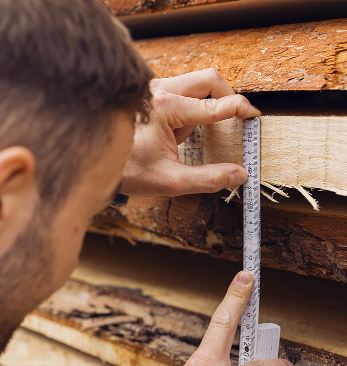 Jonas Luddeneit prüft Holzbretter mit Maßstab