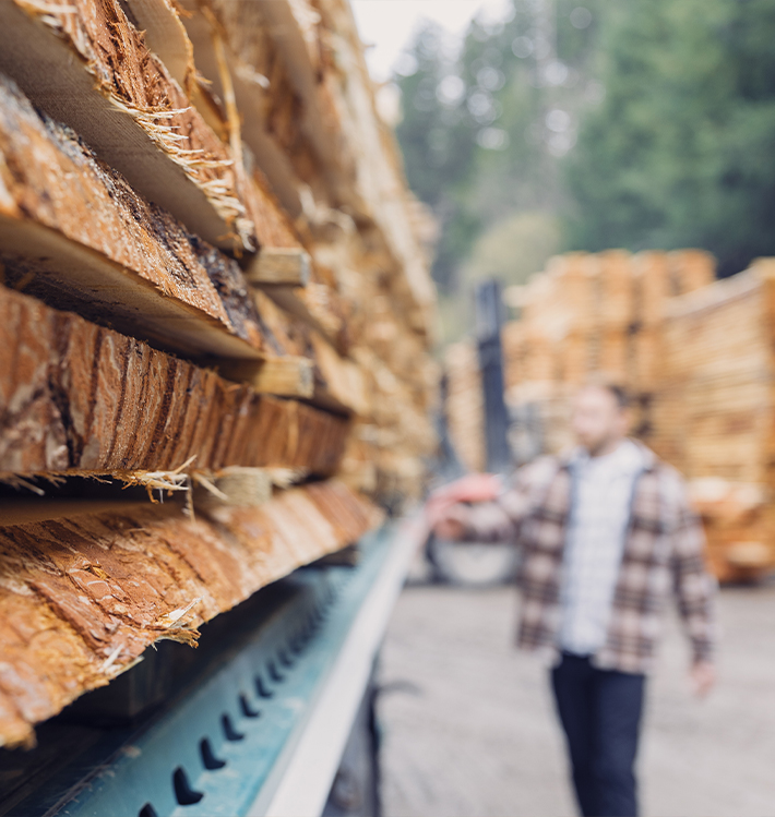 Nahaufnahme gestapelter Holzbretter aus einem Anhänger
